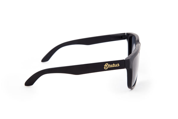 Polarized Solid Black / Forged Gold