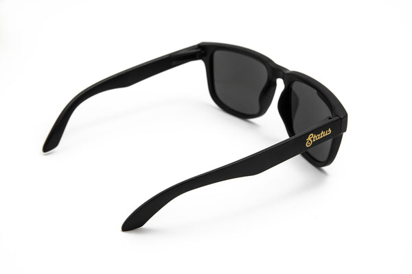 Polarized Solid Black / Forged Gold