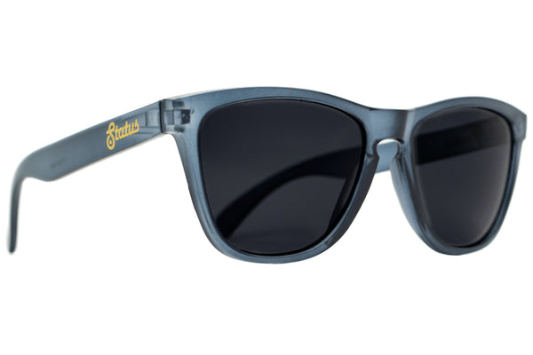 Polarized Frosted Gray / Phantom Black