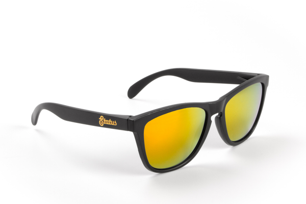 Polarized Solid Black / Forged Gold