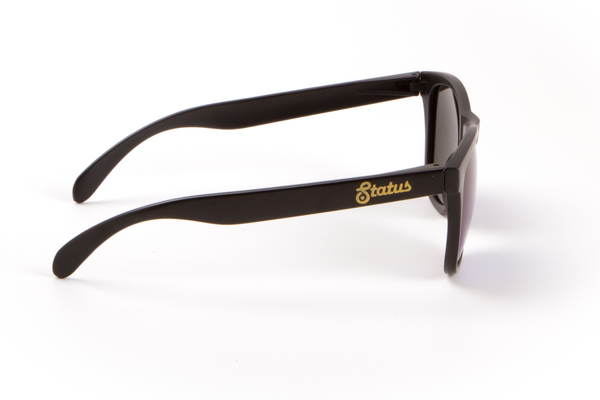 Polarized Solid Black / Purple