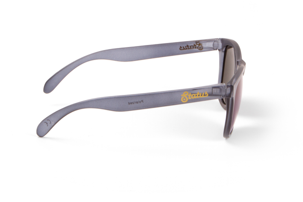 Polarized Gray / Forged Gold