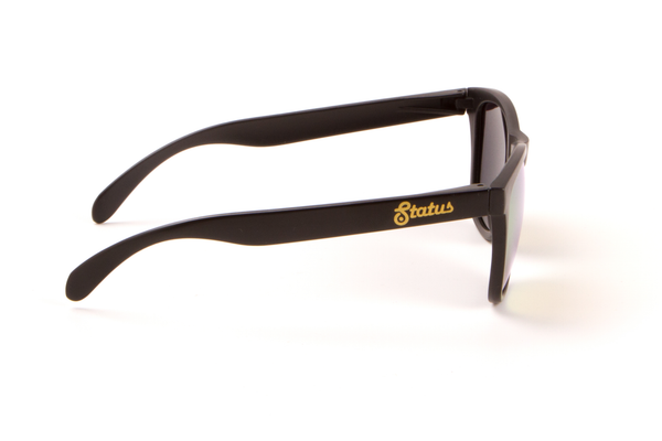 Polarized Solid Black / Forged Gold